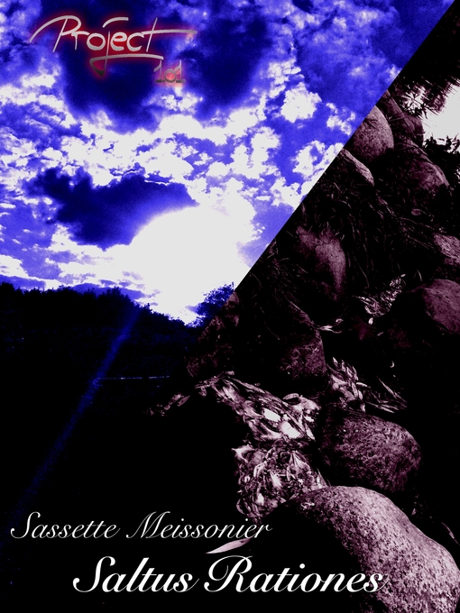 Title details for Saltus Rationes by Sassette Meissonier - Available